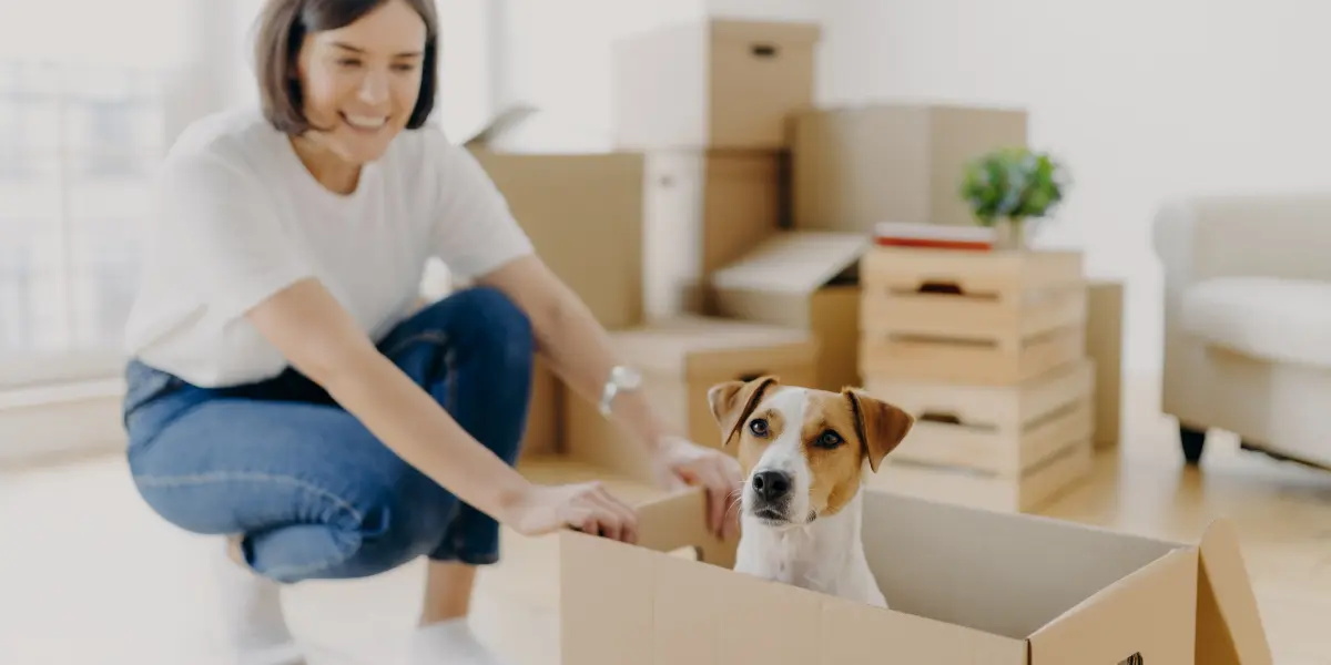 demenagement-et-animaux-de-compagnie