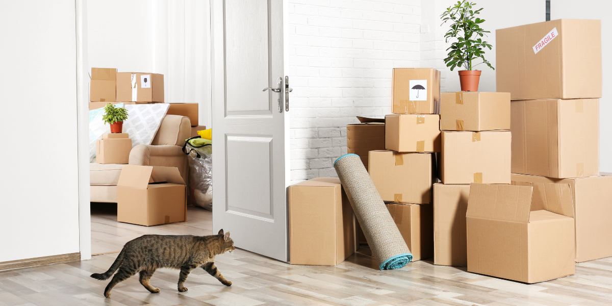 tailles-cartons-demenagement